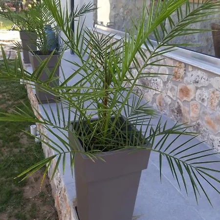 Hara Rachoni (Thasos)