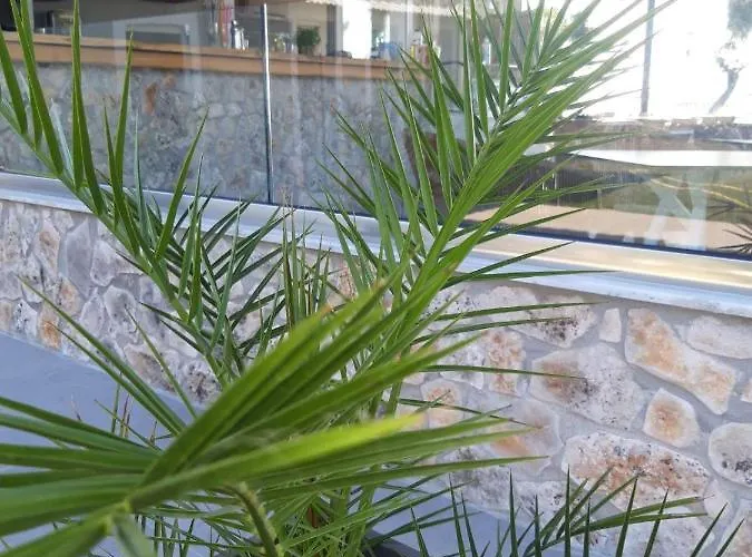 Hara 酒店 Rachoni (Thasos)